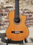 Picado Modell 54 Cutaway_1